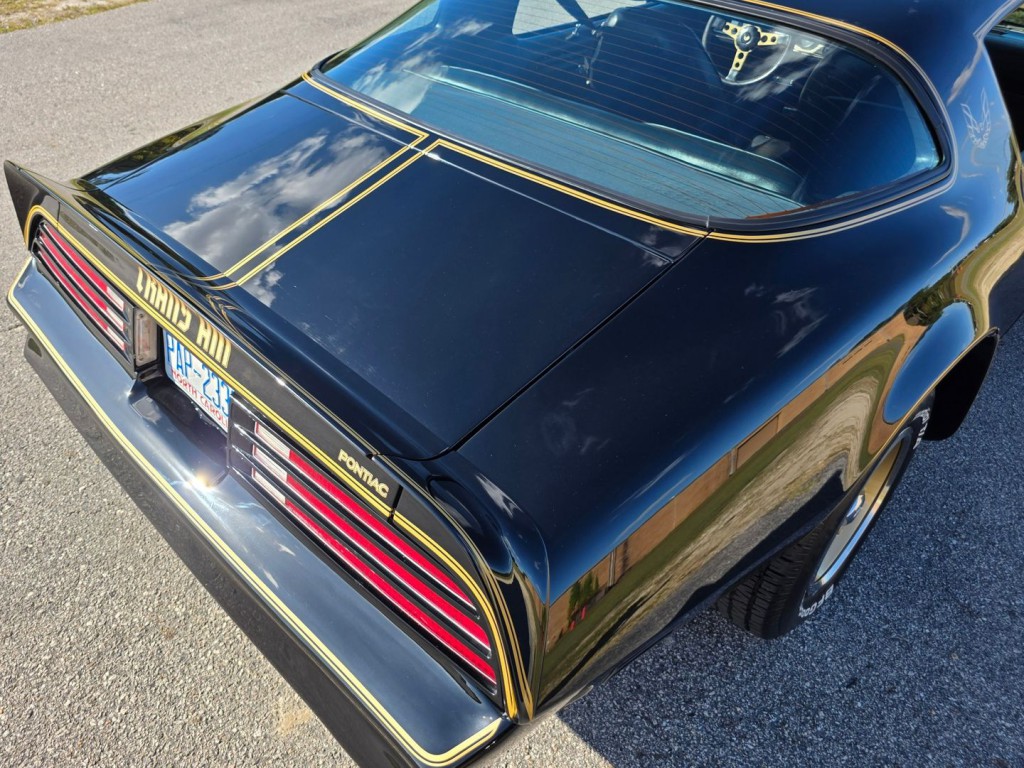 1976 Pontiac Firebird Image 48