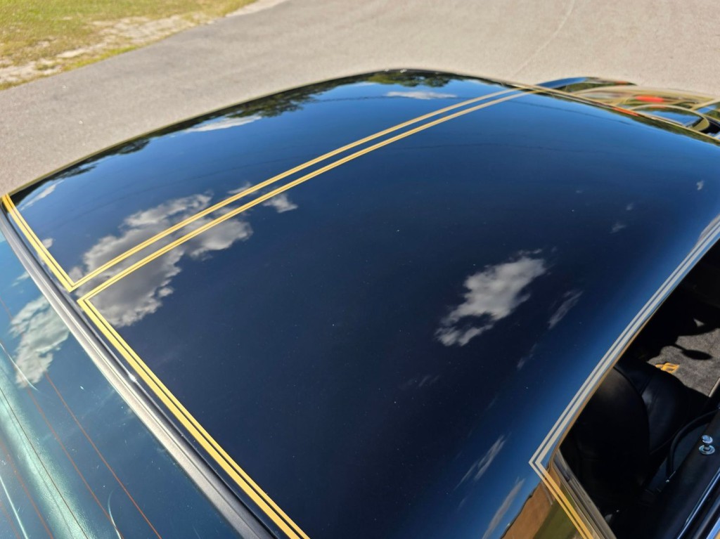 1976 Pontiac Firebird Image 49