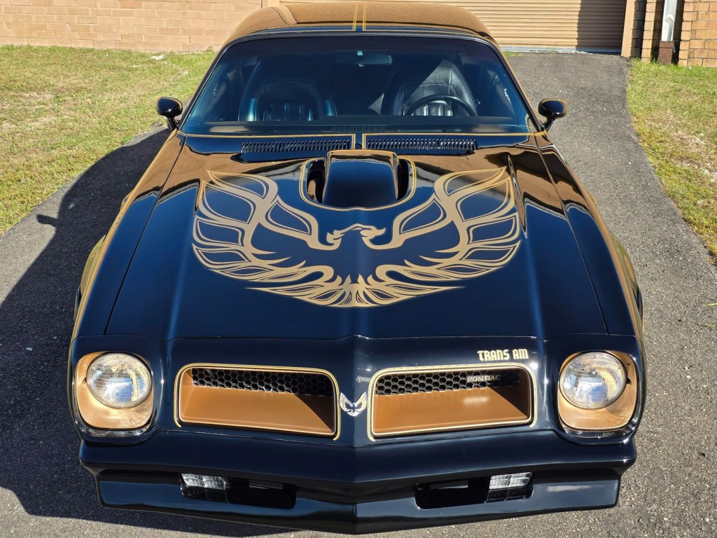 1976 Pontiac Firebird Image 51