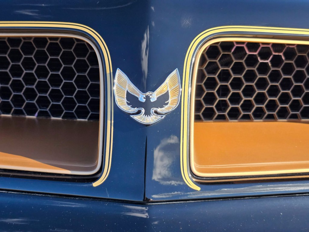 1976 Pontiac Firebird Image 53