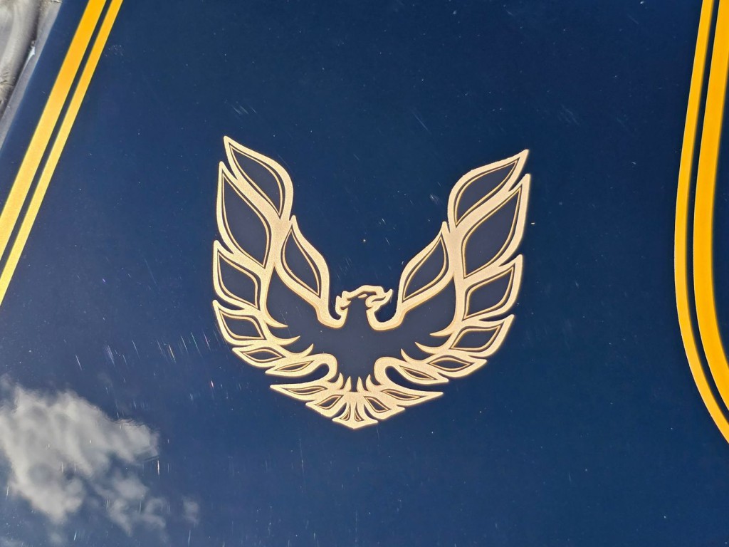 1976 Pontiac Firebird Image 56