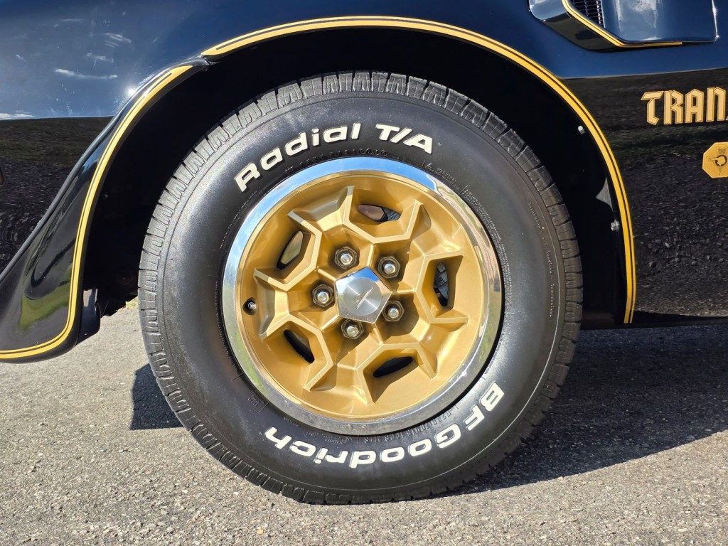 1976 Pontiac Firebird Image 57