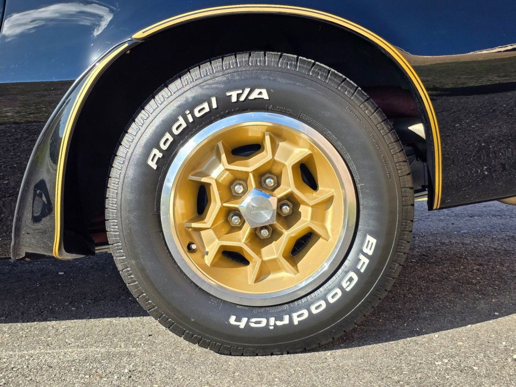 1976 Pontiac Firebird Image 58