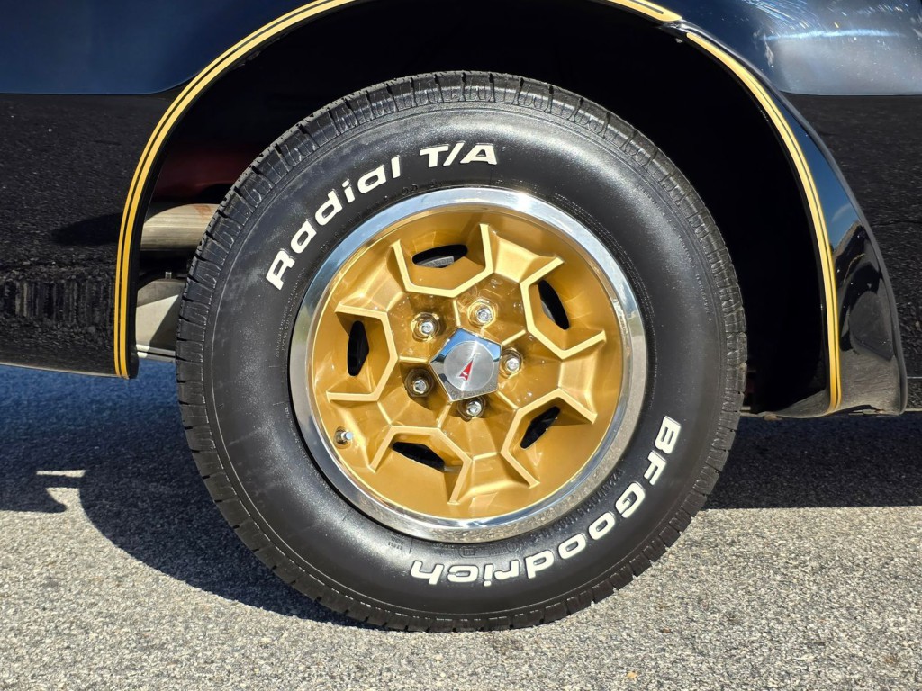 1976 Pontiac Firebird Image 59