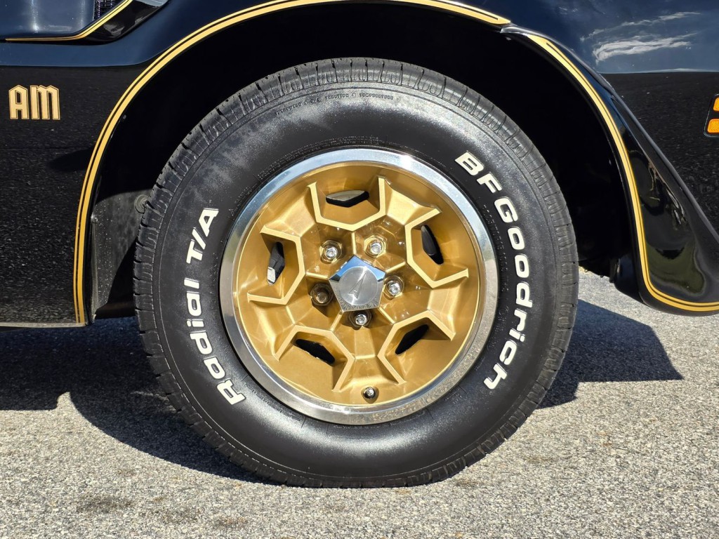1976 Pontiac Firebird Image 60