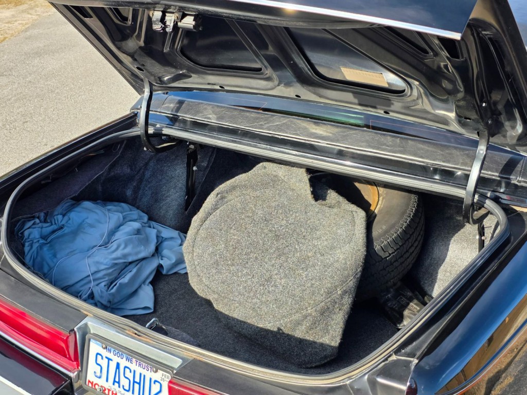 1992 Buick Roadmaster Image 51