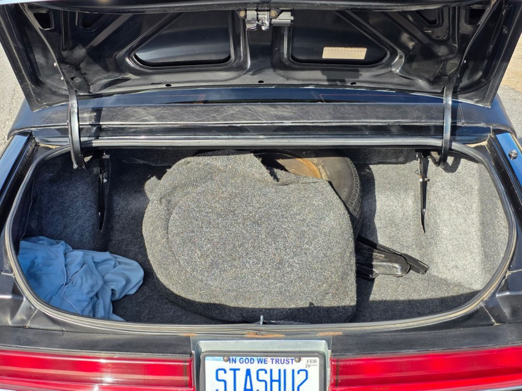 1992 Buick Roadmaster Image 52