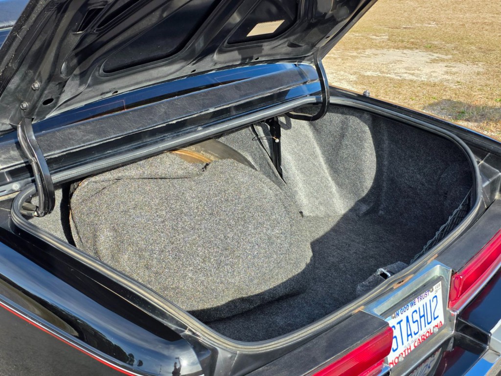 1992 Buick Roadmaster Image 53