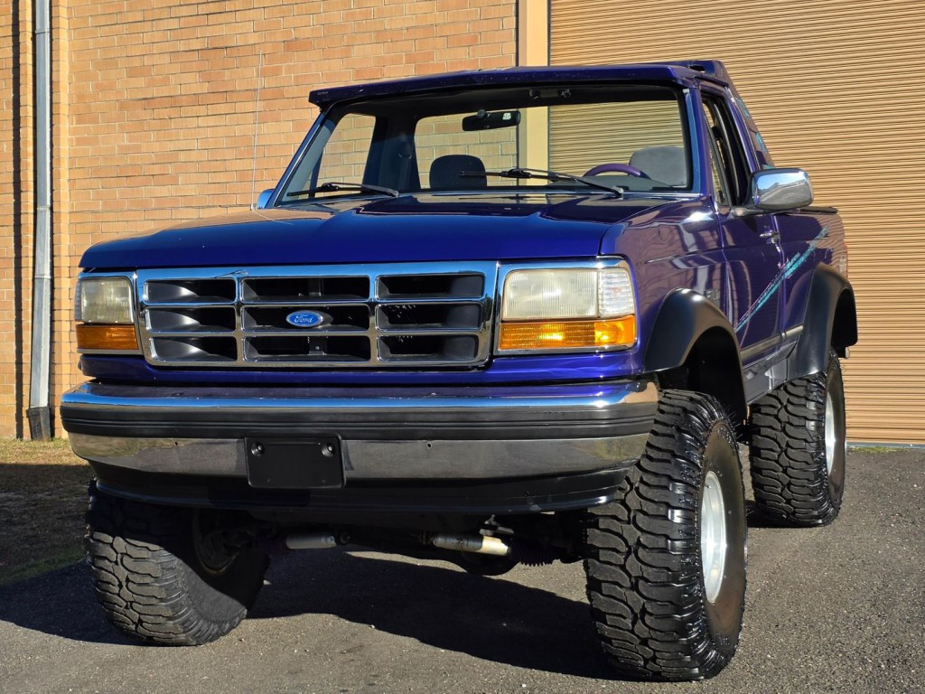 1995 Ford F-150 Image 2