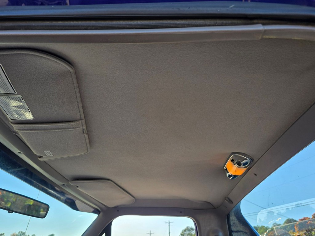 1995 Ford F-150 Image 30