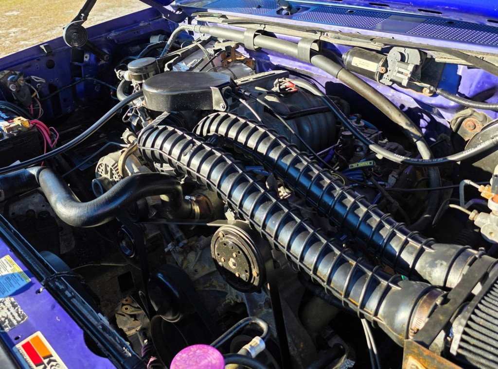 1995 Ford F-150 Image 36