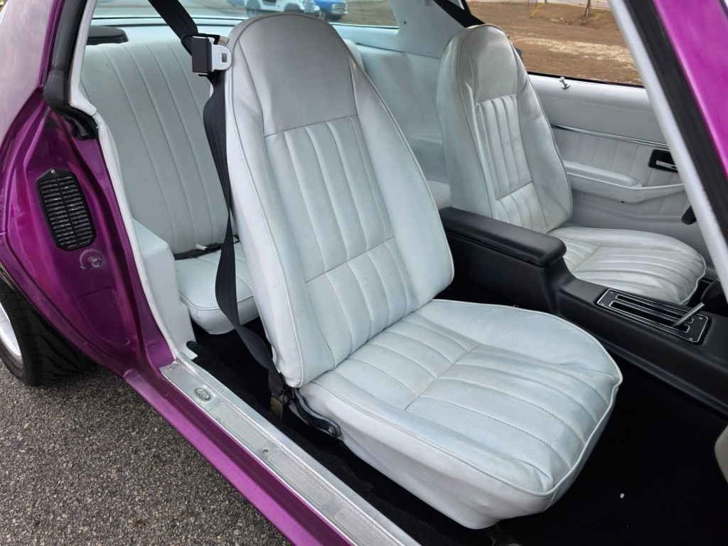 1980 Chevrolet Camaro Image 29