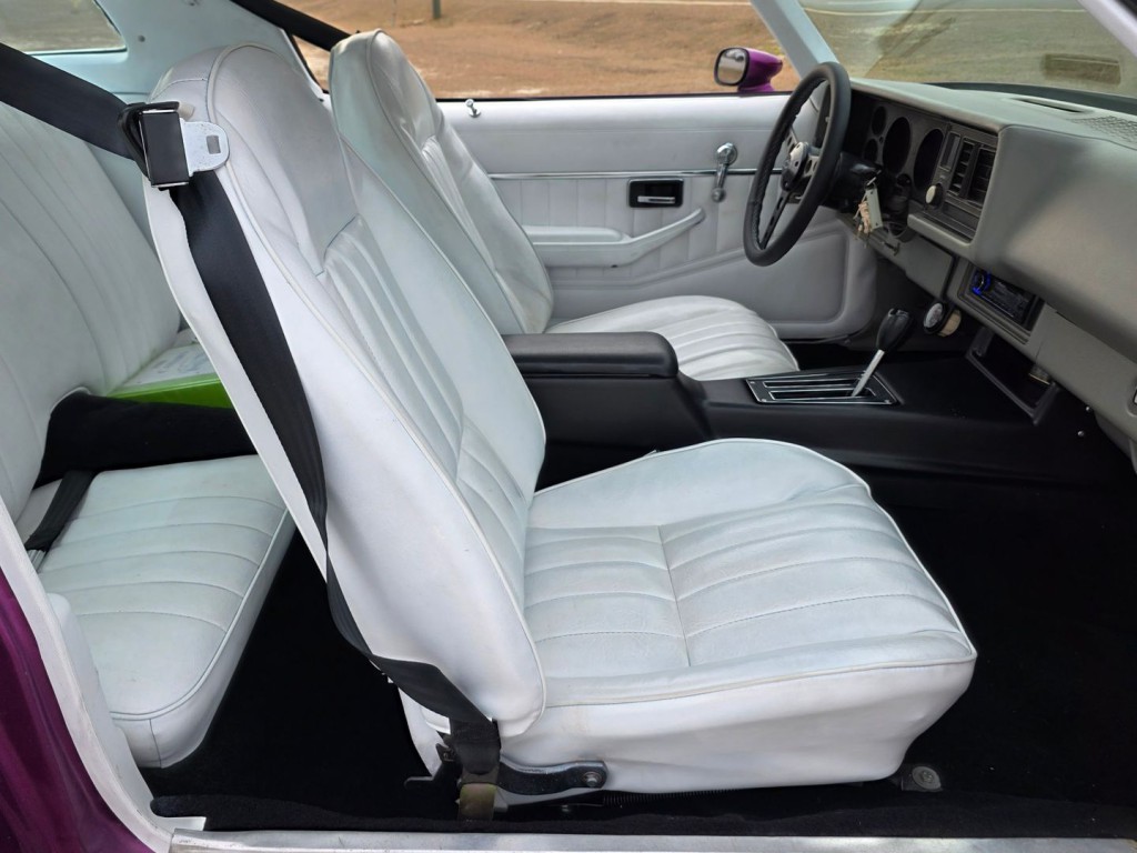1980 Chevrolet Camaro Image 30