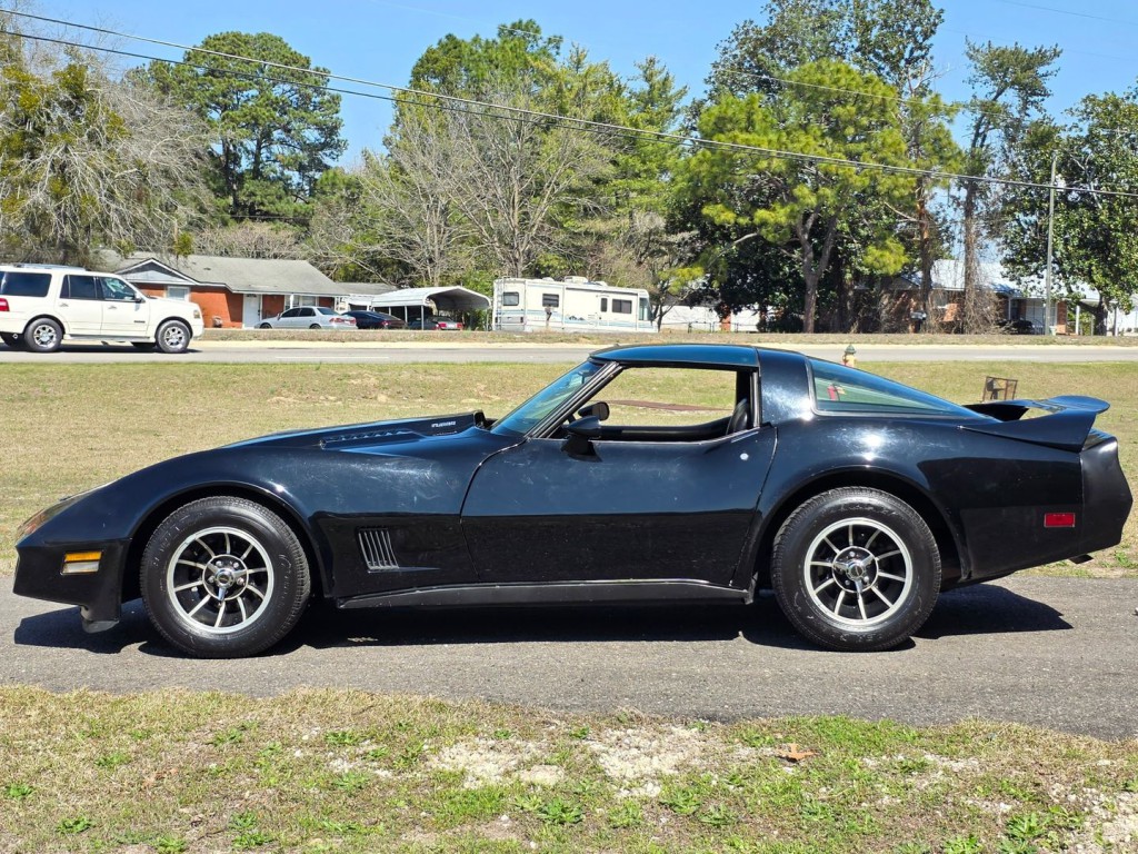 1980 Chevrolet Corvette Image 12