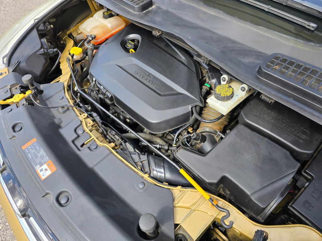 2014 Ford Escape Image 47