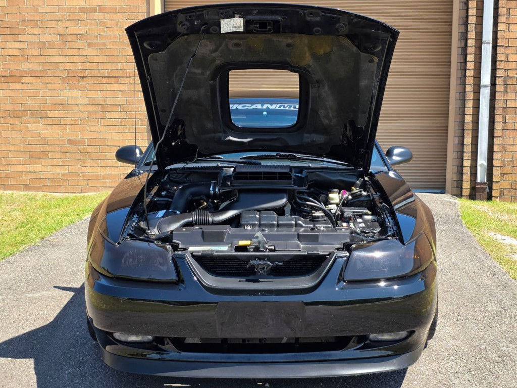 2003 Ford Mustang Image 42