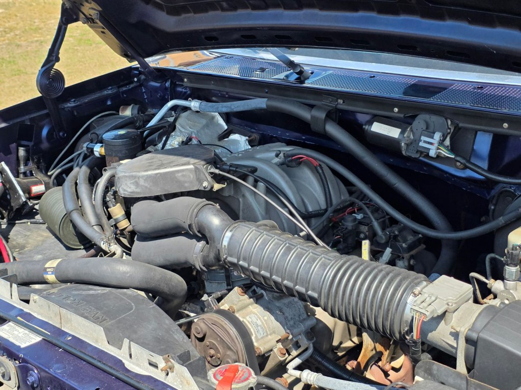 1995 Ford F-150 Image 43