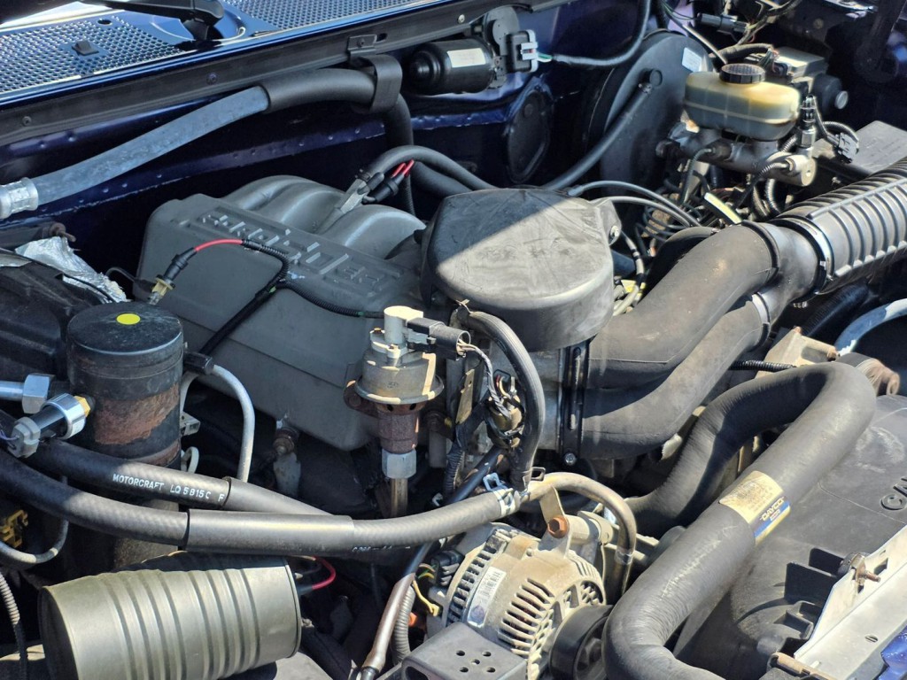 1995 Ford F-150 Image 44