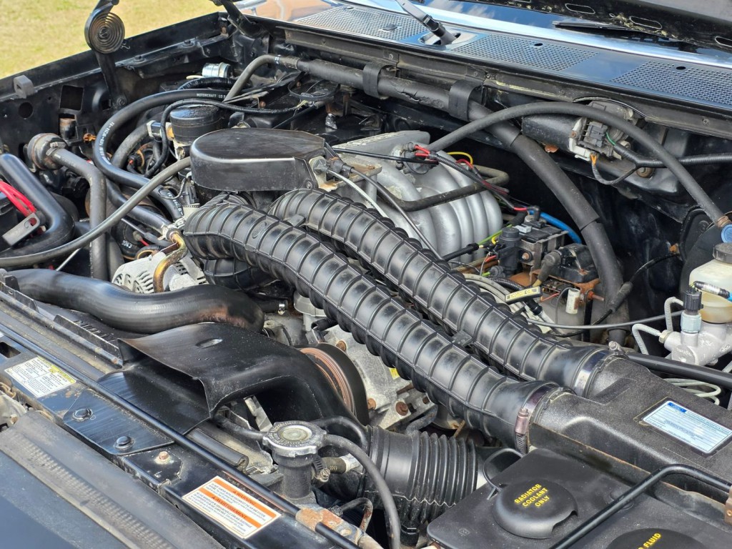 1994 Ford F-150 Image 41