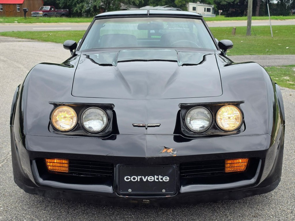 1981 Chevrolet Corvette Image 40