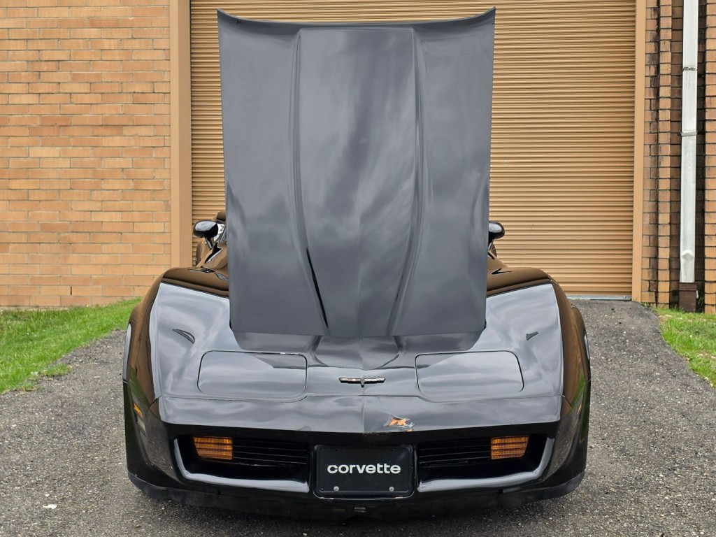 1981 Chevrolet Corvette Image 41