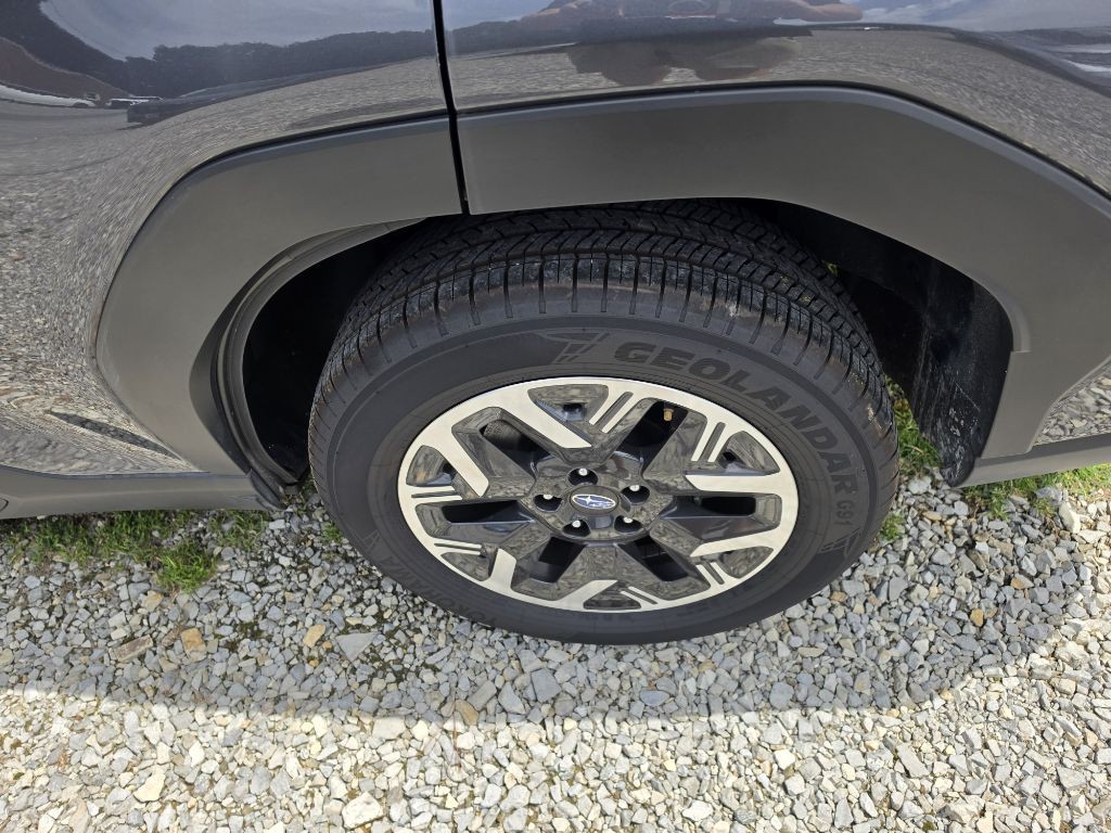 2025 Subaru Forester Image 6
