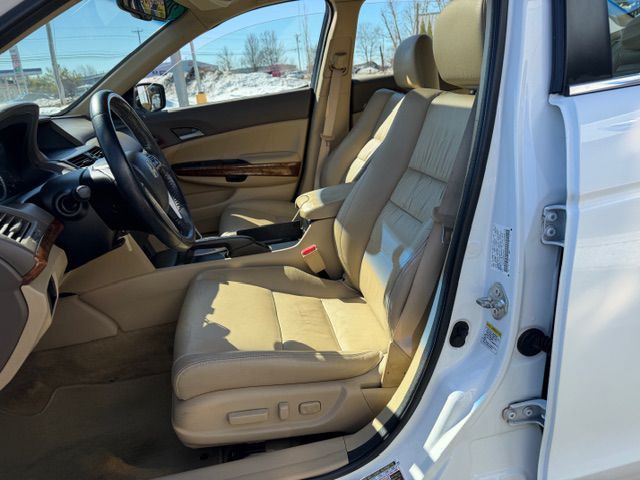 2010 Honda Accord Image 8