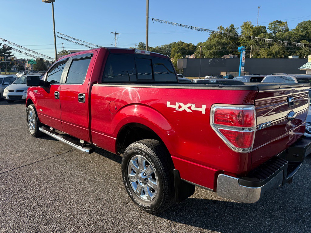 2014 Ford F-150 Image 11