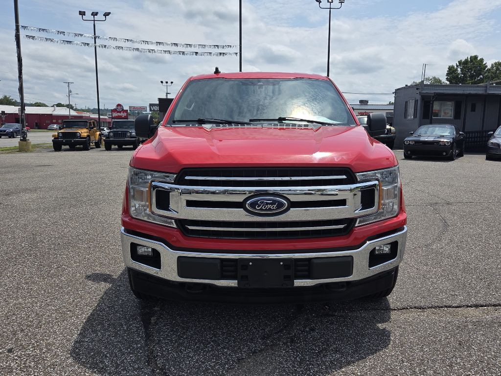 2019 Ford F-150 Image 2