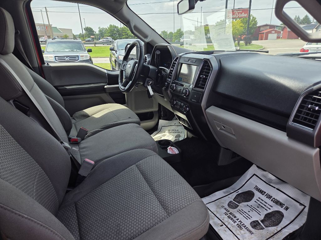 2019 Ford F-150 Image 13