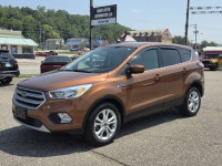 Image for 2017 Ford Escape SE ID: 7530652