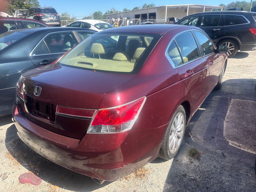 2011 Honda Accord Image 3