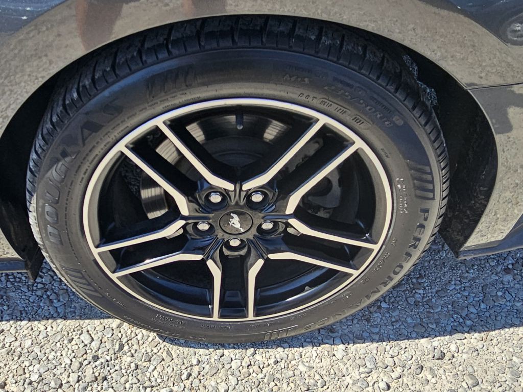 2019 Ford Mustang Image 12