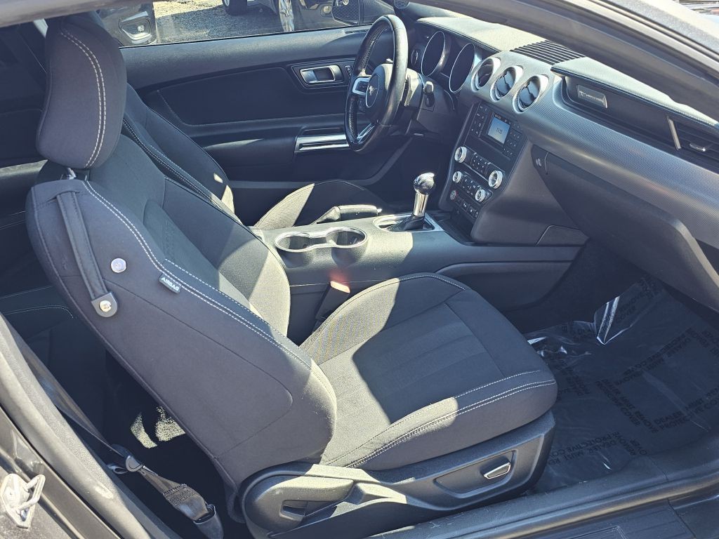 2019 Ford Mustang Image 14