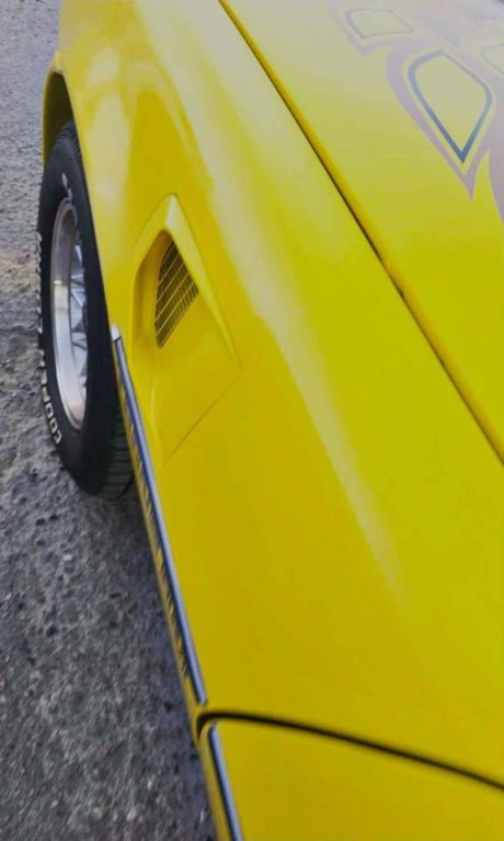 1978 Pontiac Firebird Image 12