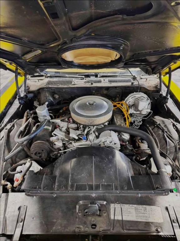 1978 Pontiac Firebird Image 14