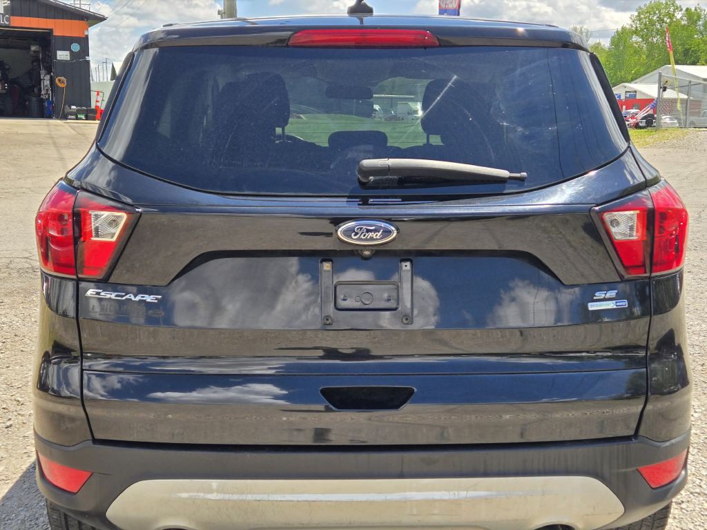2019 Ford Escape Image 6