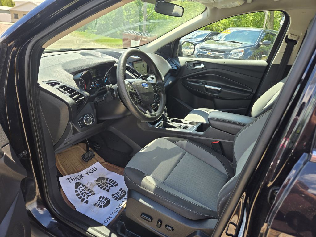 2019 Ford Escape Image 12