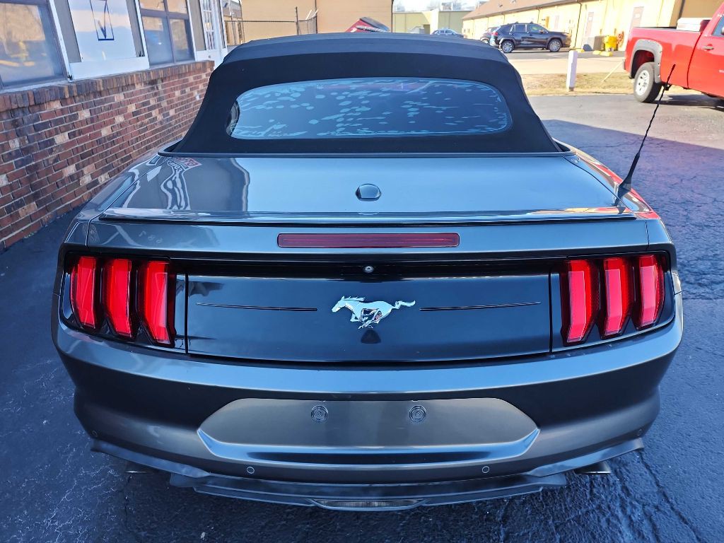 2019 Ford Mustang Image 7