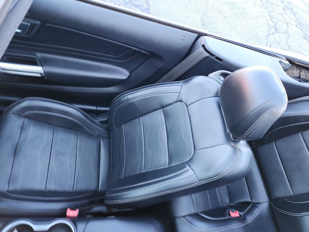 2019 Ford Mustang Image 12