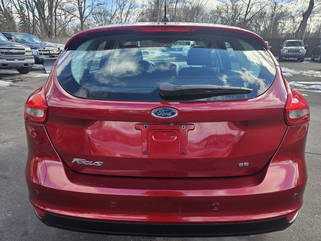 2015 Ford Focus Image 8