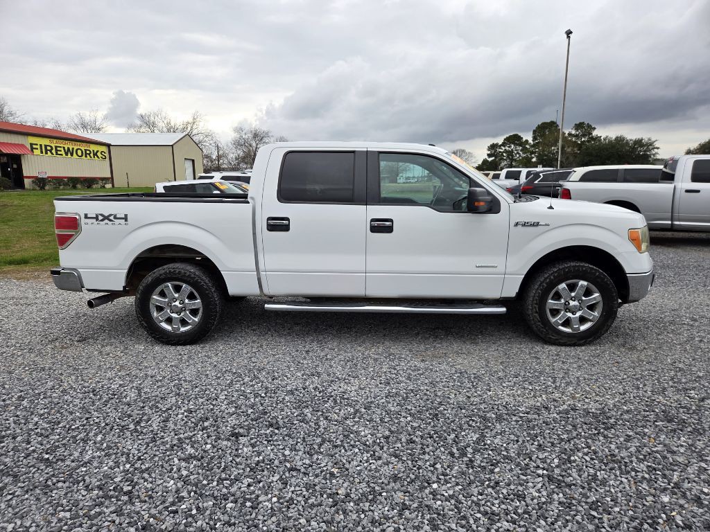 2013 Ford F-150 Image 4