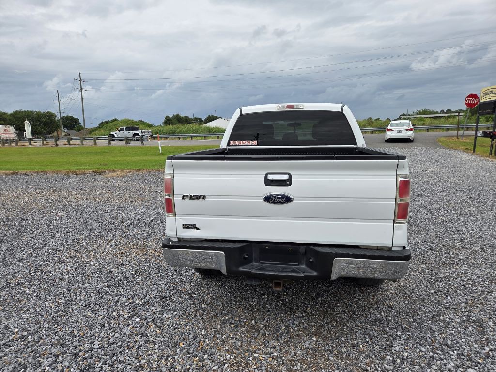 2013 Ford F-150 Image 3