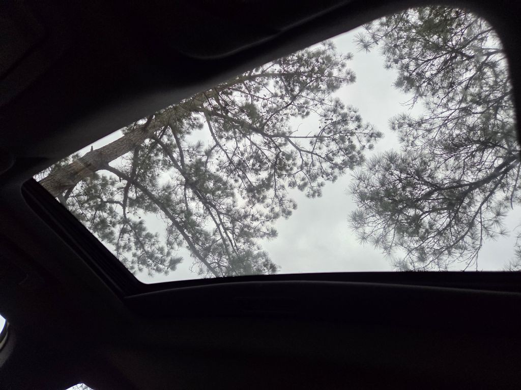 2017 Ford Taurus Image 8