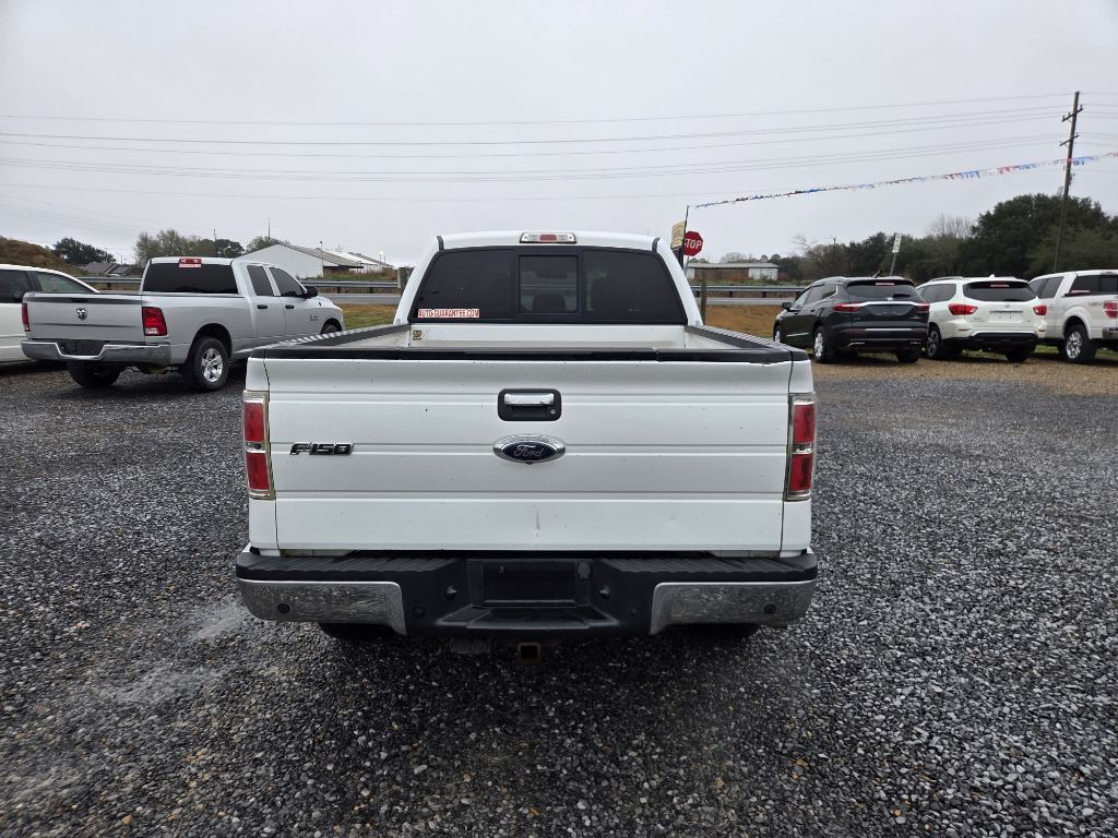 2014 Ford F-150 Image 3