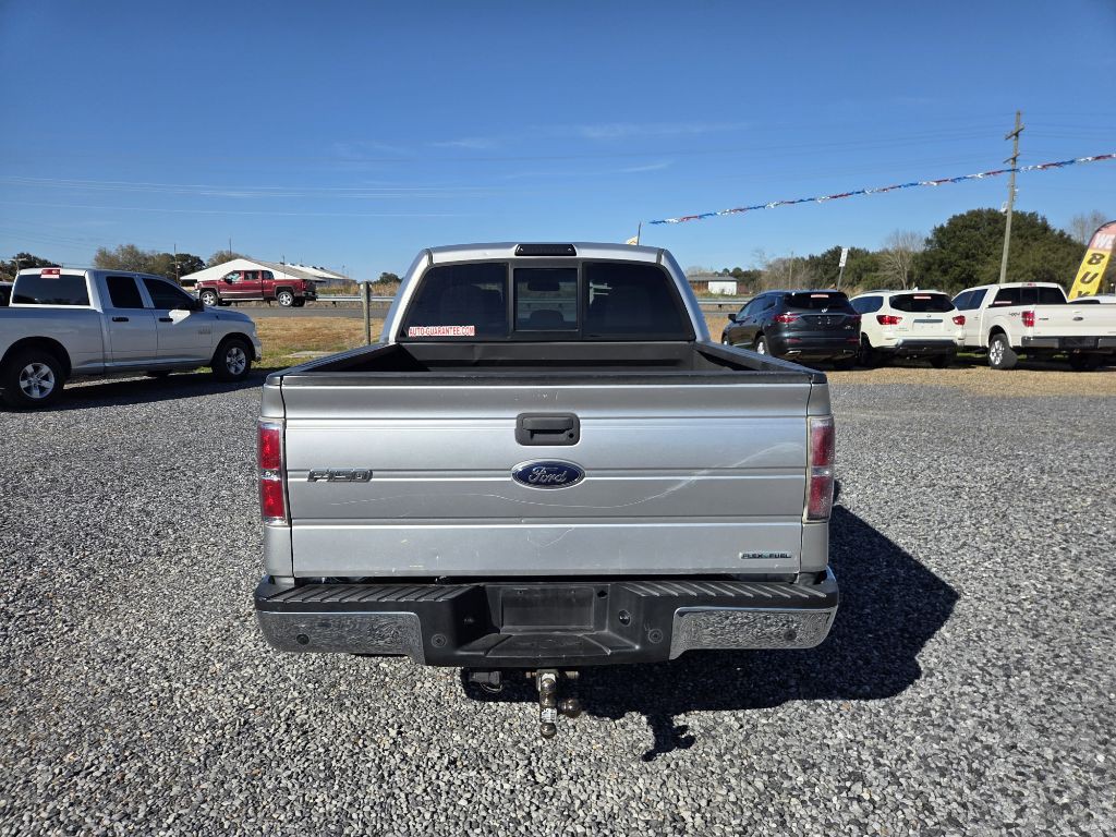 2014 Ford F-150 Image 3
