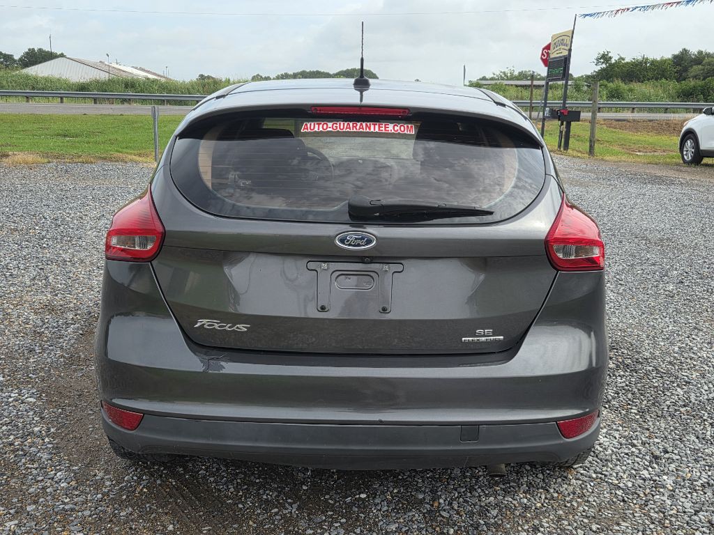 2016 Ford Focus Image 4