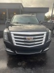 Image for 2019 Cadillac Escalade Esv Luxury ID: 6961061