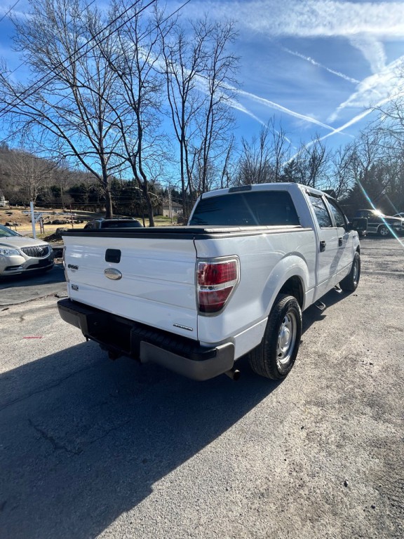 2011 Ford F-150 Image 3