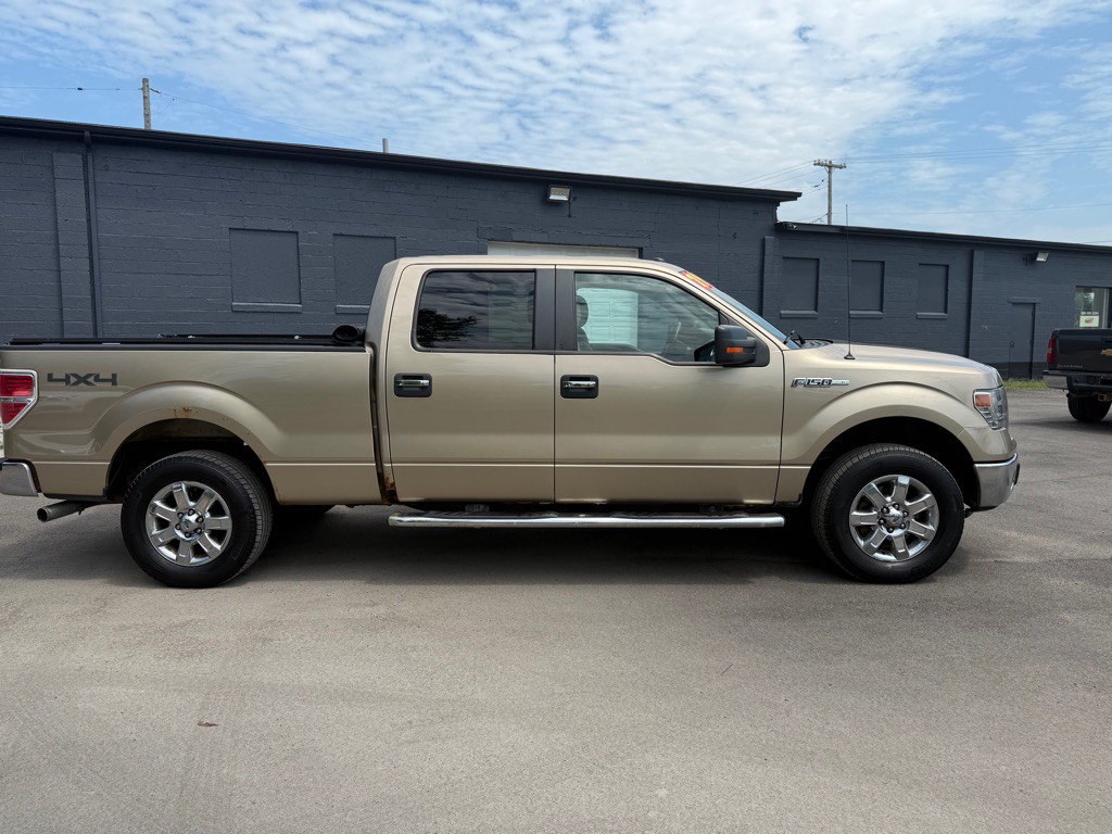 2014 Ford F-150 Image 7